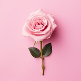 pink rose on a white background  generated by AI