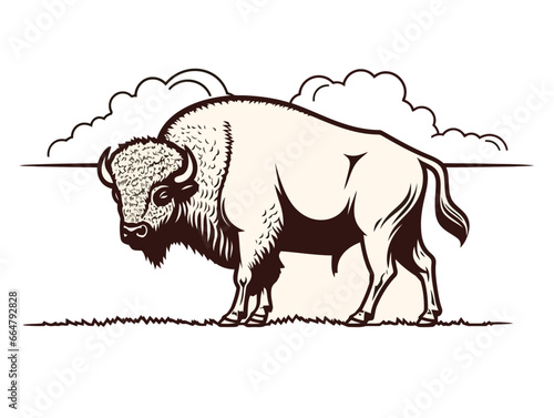 Doodle Oklahoma state outline with bison, cartoon sticker, sketch, vector, Illustration, minimalistic