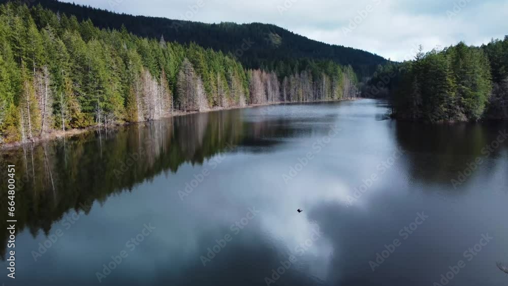 Rising up above Trout Lake and tilting down to show the clouds reflecting off the still water Rising up above Trout Lake and tilting down to show the clouds reflecting off the still water
