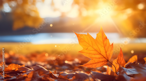 Sunny Autumn Nature Art Background