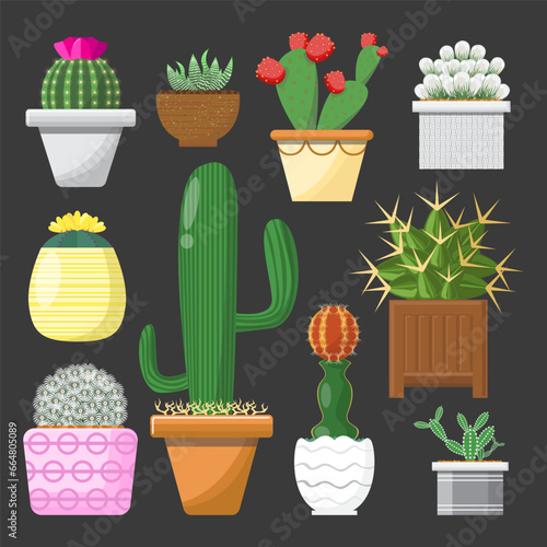 Various cactus plants in pots set with colorful on dark gray background.