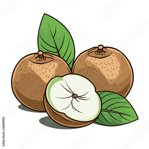 Chikoo hand-drawn illustration. Chikoo. Vector doodle style cartoon illustration