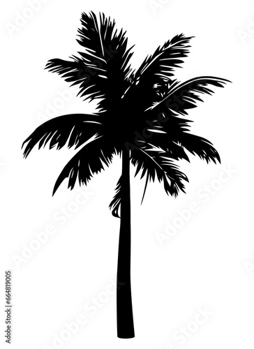 Palm tree silhouette isolated on white background. Vector Illustration.