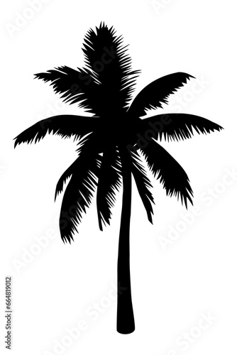 Palm tree silhouette isolated on white background. Vector Illustration. © POKPAK