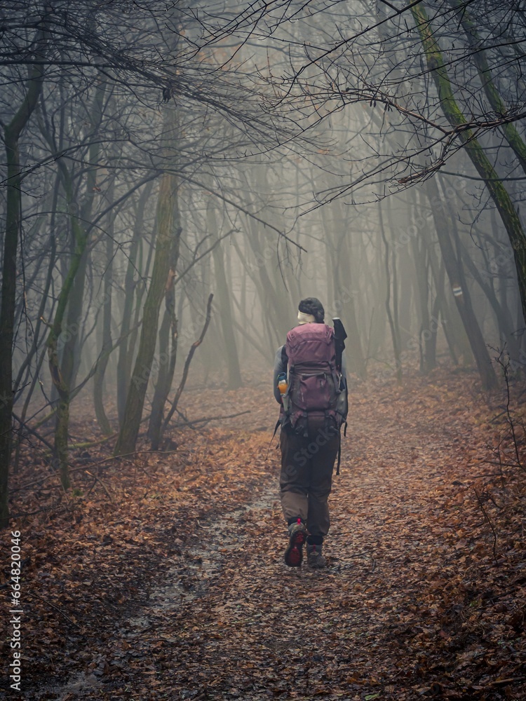 Young woman hiking with a backpack on a forest trail in autumn