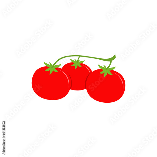  Tomato logo icon isolated on transparent background