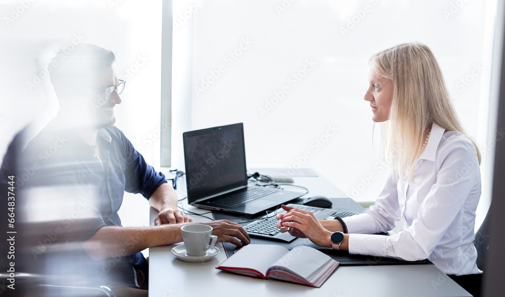 Business meeting. Client consulting. Confident business woman, real estate agent, financial advisor explaining details of project or financial product to client in office Business meeting. Client consulting. Confident business woman, real estate agent, financial advisor explaining details of project or financial product to client in office