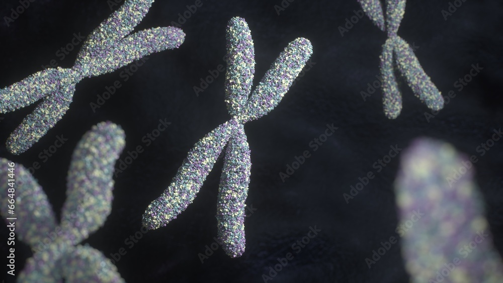 Visualization of a chromosomes, 3d rendering, DNA, Genetics, illustration Visualization of a chromosomes, 3d rendering, DNA, Genetics, illustration