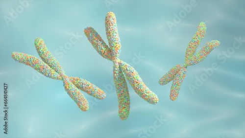 Visualization of a chromosomes, 3d rendering, DNA,  Genetics, illustration (ID: 664841427)