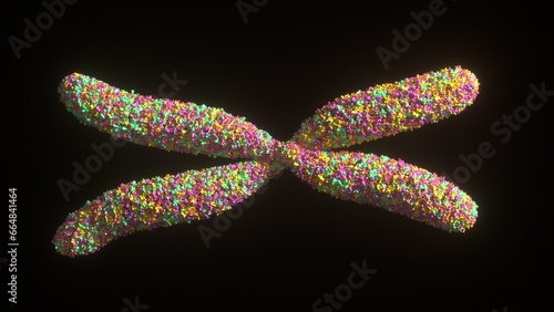 Visualization of a chromosome, 3d rendering, DNA,  Genetics, illustration (ID: 664841464)
