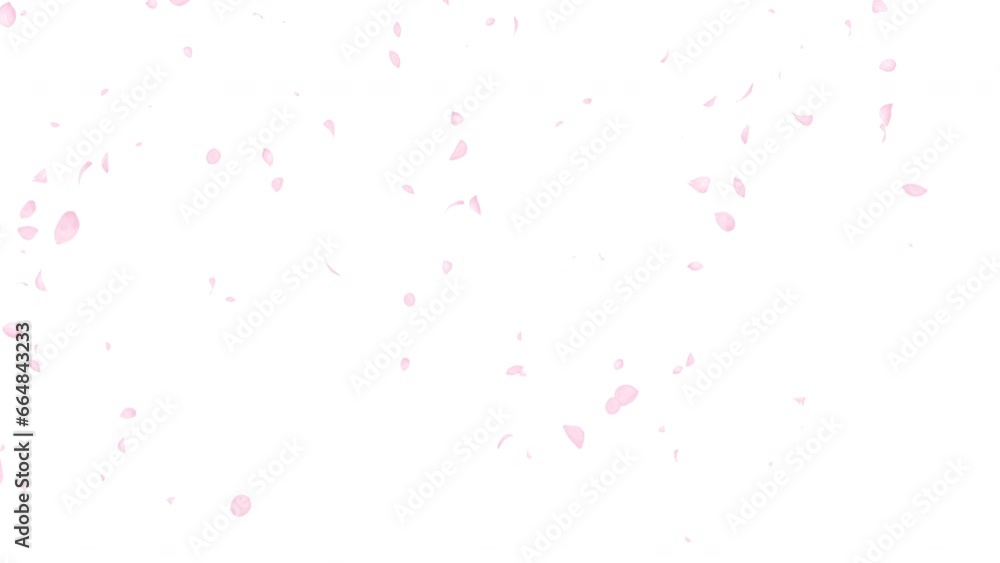 水彩風 桜の花びらひらひら落ちる 背景白 Watercolor Spring Series Cherry Petals Gently Falling(White Background) 水彩風 桜の花びらひらひら落ちる 背景白 Watercolor Spring Series Cherry Petals Gently Falling(White Background)