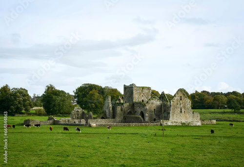 Cistercian monastery near the Rock of Cashel in County Tipperary, Irelandin, during the autumn