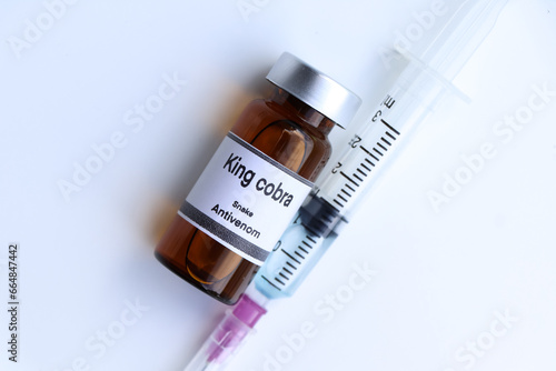 Photos king cobra, Snake antivenoms in a vial, Serum for injection to prevent venom fro