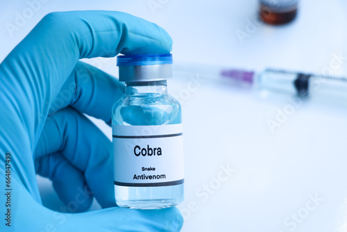 Canvas Print Cobra, Snake antivenoms in a vial, Serum for injection to prevent venom from sna