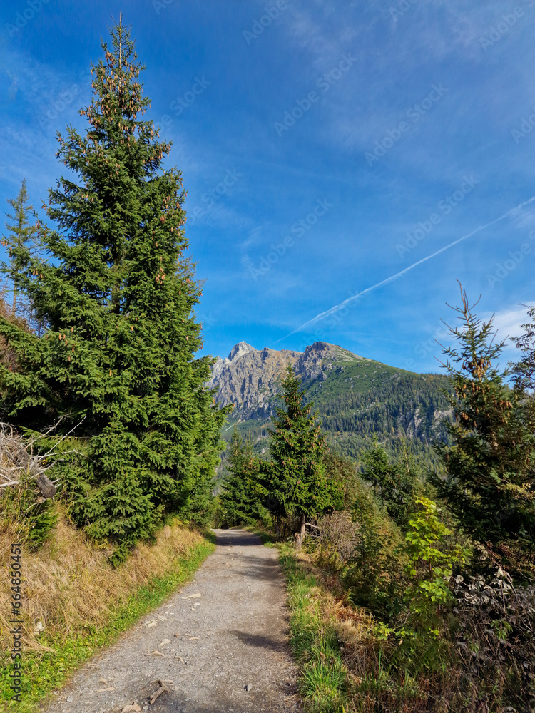 view of Lomnica Peak. walking trail Hrebienok, Stary Smokovec, High Tatras mountains. Slovakia