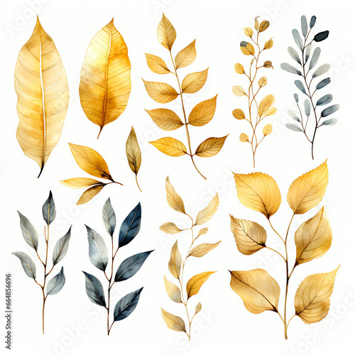 Collection of Watercolor Painted Autumn Leaves and Branches on a White Background
