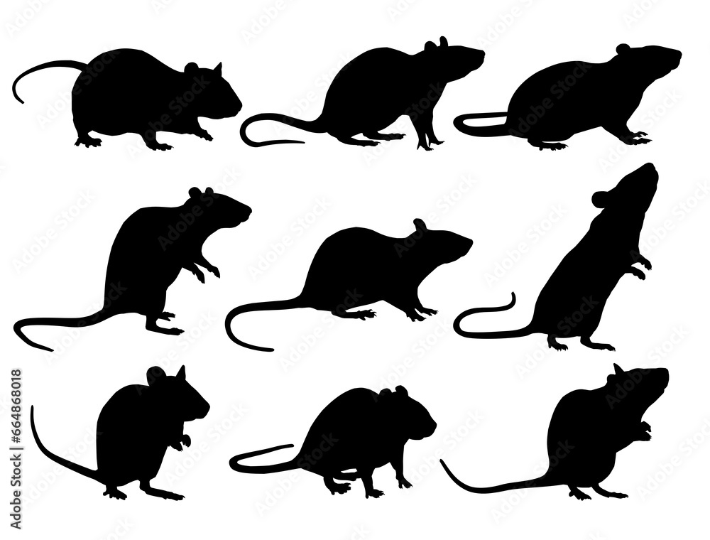 The set silhouettes of rats.
