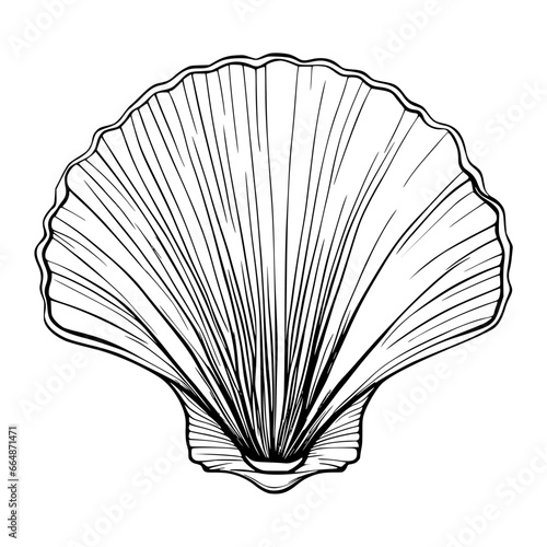 Seashell, clam shell