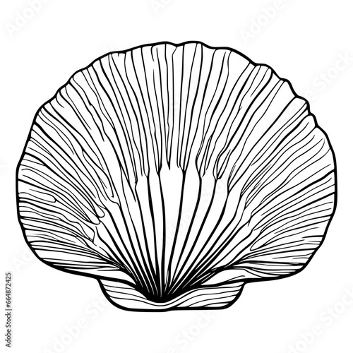 Seashell, clam shell