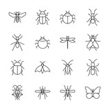 set of icons bugs and insect