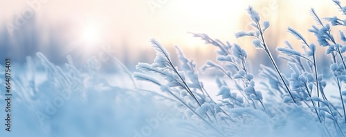 Frozen snowy grass, winter natural abstract background. beautiful winter landscape. © MdImam