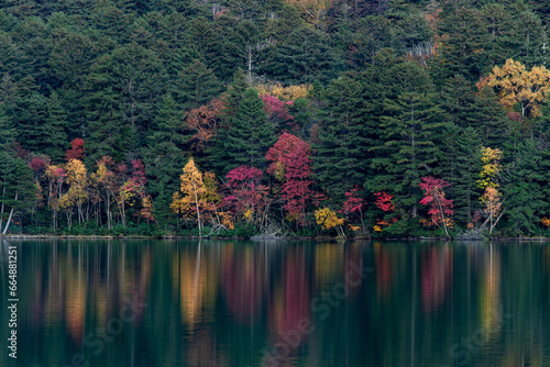 北海道 オンネトーの紅葉風景