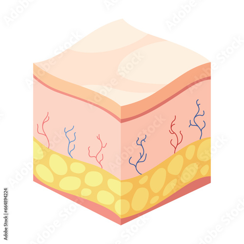 Hyaluronic acid isometric. Profile view cube representing skin structure layers icon. Subcutaneous tissue, dermis and epidermis anatomical structure. Cartoon vector illustration isolated on white