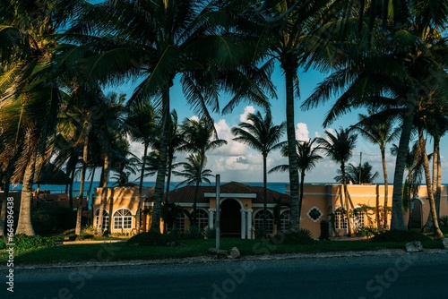 Row of tall palm trees in the foreground with an inviting yellow house in the background