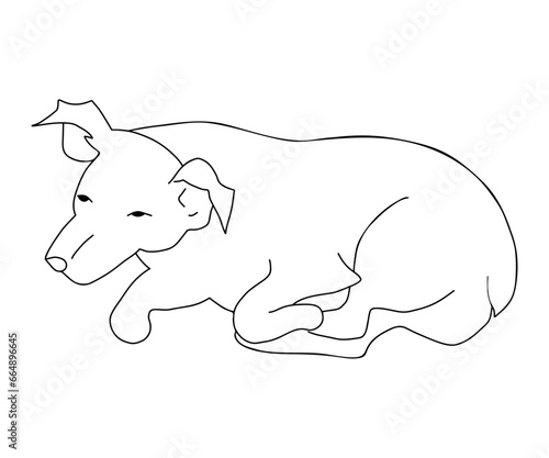 Dog. Outline drawing of pet lies and sleeps. Vector illustration. hand drawn .