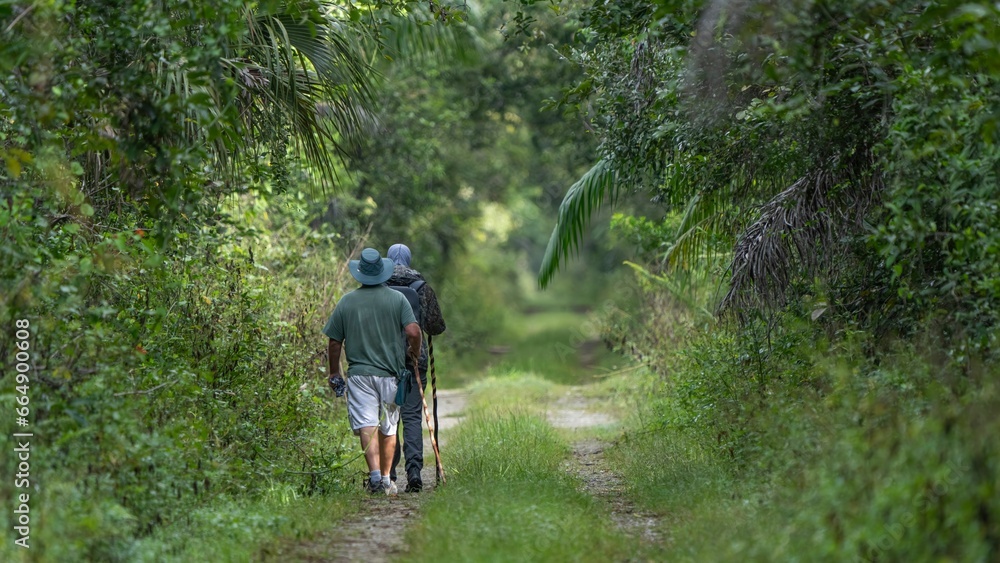 Hikers walking along a trail in Florida
