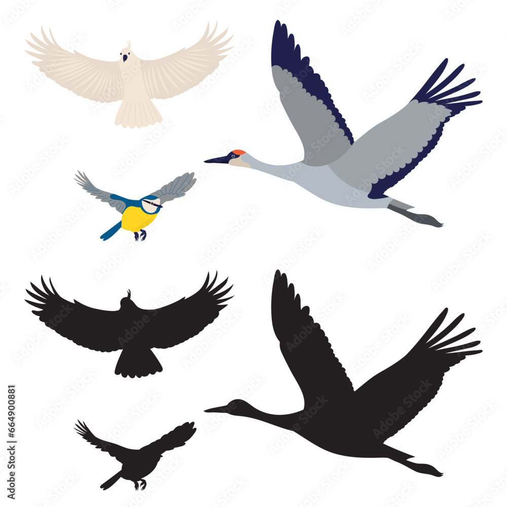Obraz premium flying birds in doodle style isolated vector