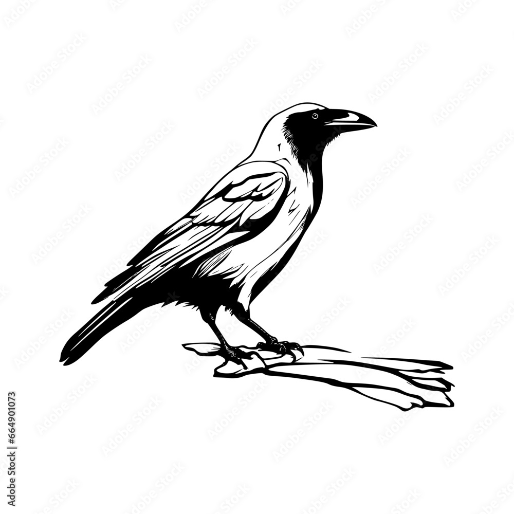 Obraz premium silhouette vector illustration of a crow