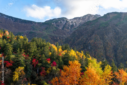 北海道 秋の十勝岳連峰の紅葉