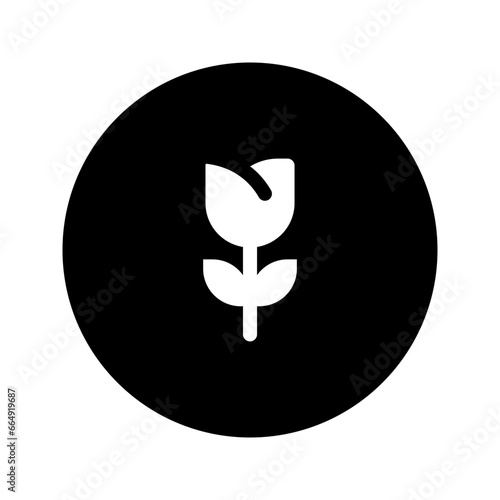 macro circular glyph icon