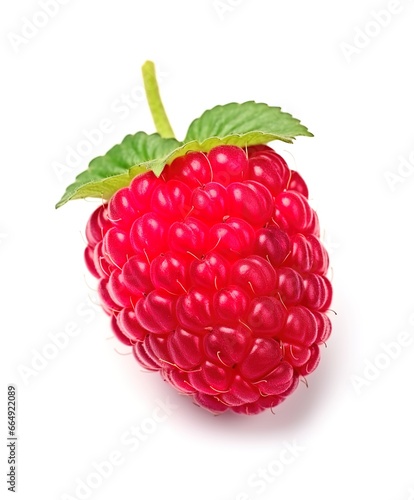 raspberry isolated on white. Generative AI