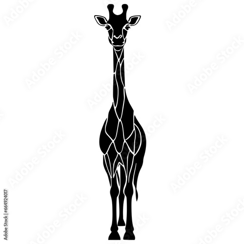 giraffe illustration vector