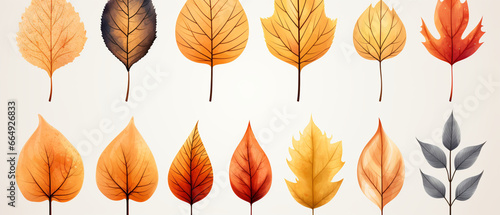 Herbstfarben für eine Herbst-Kampagne