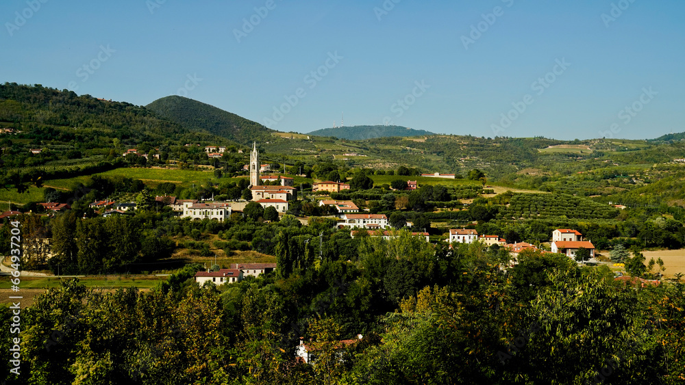 Obraz premium I vigneti dei Colli Euganei. Parco regionale dei Colli Euganei. Padova. Italia