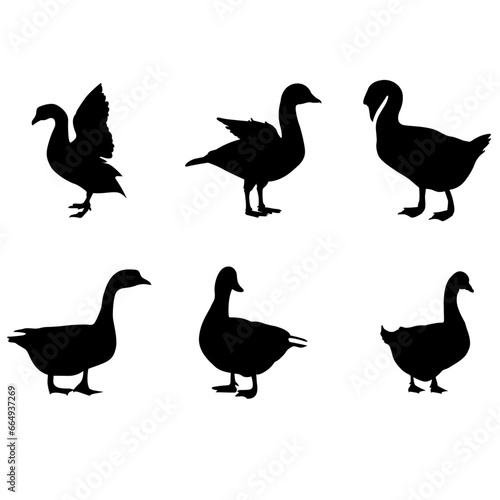 set of silhouettes of ducks, black duck svg, goose svg, Collection of  duck silhouettes, Collection of geese silhouettes, Hand drawn animals silhouette illustration