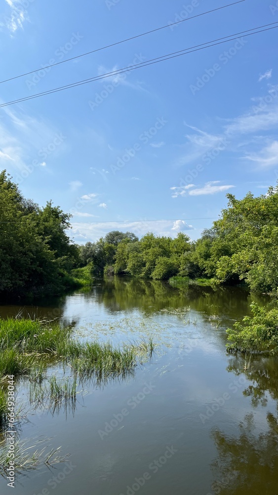 Obraz premium Panoramic landscape with lake and forest. Abstract landscape. Nature of Ukraine.