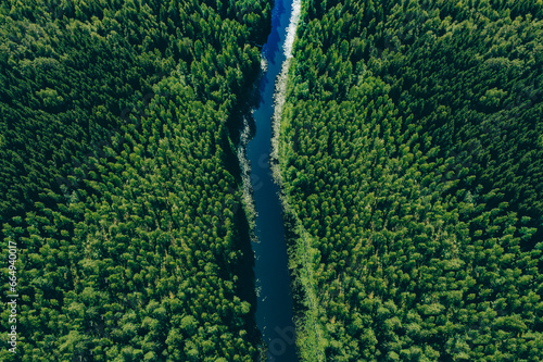 Aerial view of green woods forest with pine trees and blue river flowing through the forest