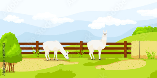 White lama near fence in zoo enclosure. Summer vacation. Natural rural wildlife. Farm inhabitant, cartoon design. Cute mammal character. Picturesque landscape. Wild nature. Vector illustration