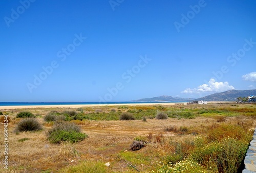 dunes and beach in Tarifa at a beautiful summer day  Playa de los Lances  tourism  palms  Playa Santa Catalina  Andalusia  province of C  diz  Spain