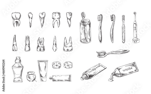 Stomatology hand drawn set. Toothache treatment. Teeth sketch. Different types of human tooth. Toothbrushes and pastes. Dental care, dental instruments.