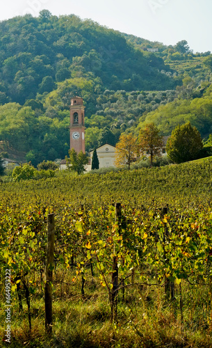 Villa dei Vescovi, Torreglia. Parco dei Colli Euganei. Padova. Italia photo