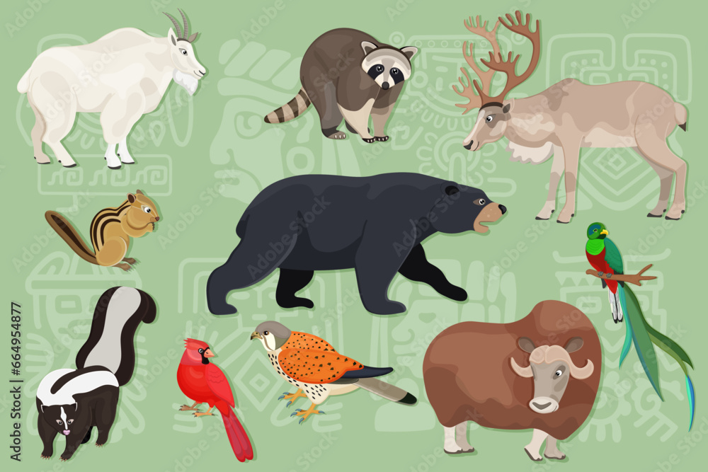 Naklejka premium Set of North America animals. Collection of snow goat, caribou, raccoon, chipmunk, skunk, musk ox, black bear, quetzal, kestrel. Concept of wild creature of Canada and USA forest. Vector illustration