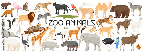 Collection of zoo animals. Set of capybara,flamingo, lion, elephant, giraffe, cheetah, bear, tiger, rhino, hippo, penguin, seal, parrot, goat, lama. Isolated on white background. Vector illustration