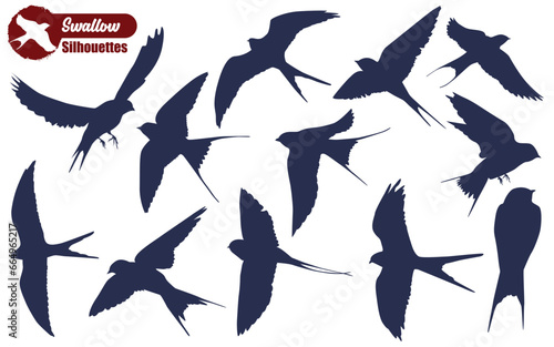 Bird Swallow Silhouettes Vector illustration