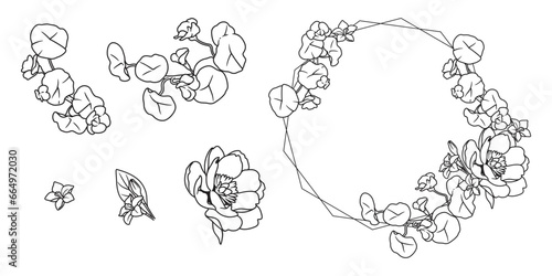Fototapeta Naklejka Na Ścianę i Meble -  Line art flowers collection, Floral and circle line art frame, Black linear set of flower, Hand painted bunch of flowers, flower and leaves isolated on white background, Floral illustration for design