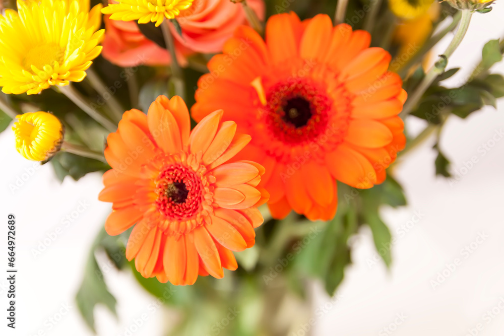 Bouquet of beautiful bright flowers. Floral composition. Bouquet of beautiful bright flowers. Floral composition.